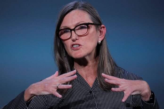 Cathie-Wood-scaled theinvestment.socialwits.in