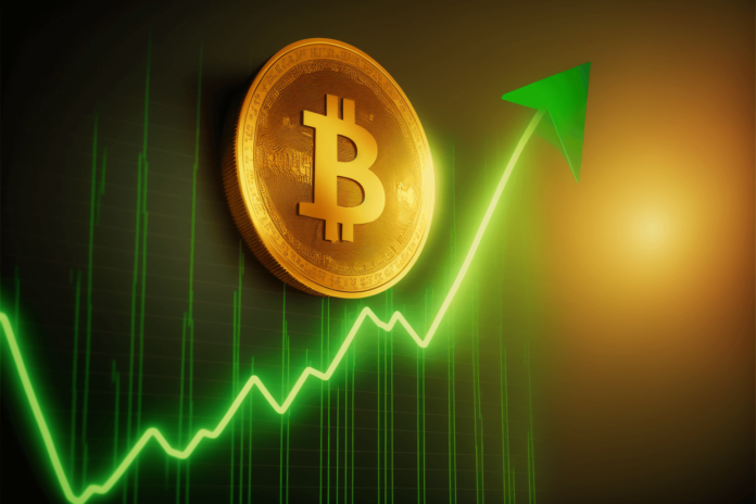 bitcoin-going-up theinvestment.socialwits.in