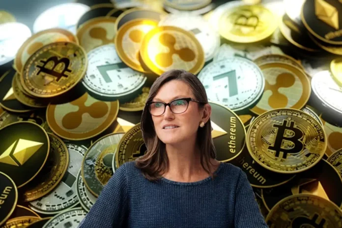 ARK - theinvestment.socialwits.in