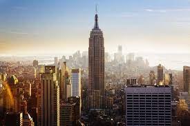 Real Estate theinvestment.socialwits.in