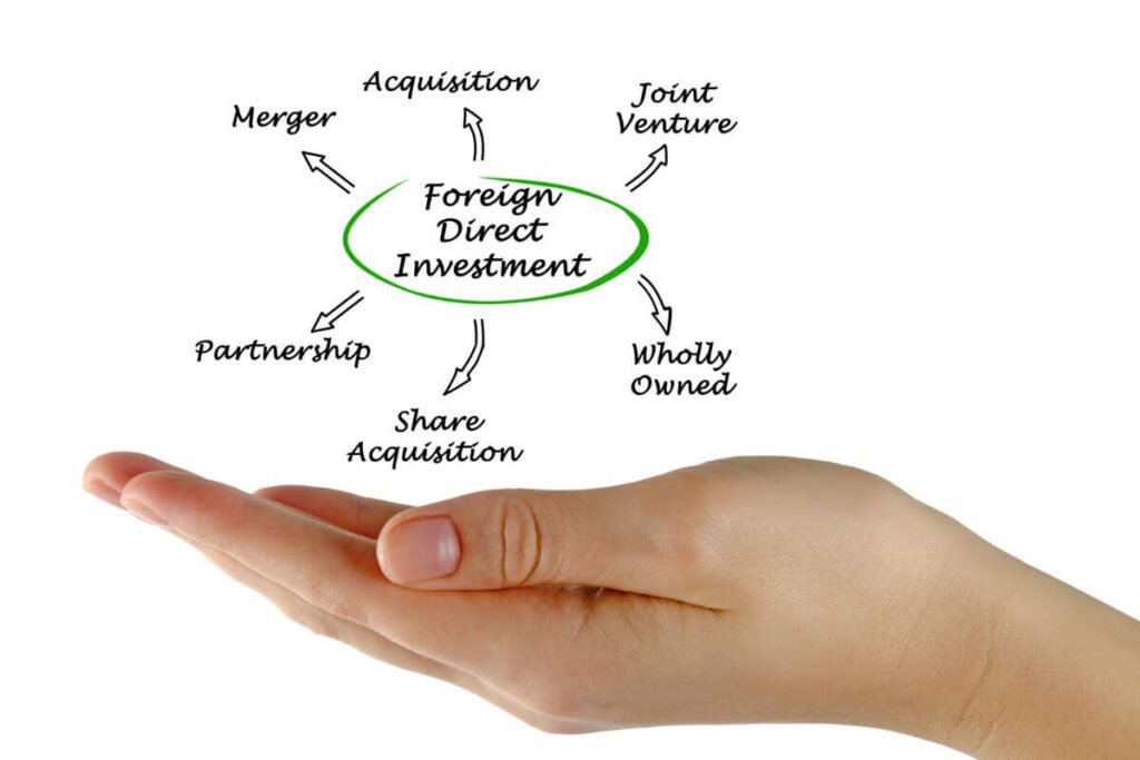 FDI theinvestment.socialwits.in