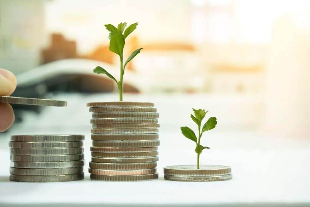 Growth in investment theinvestment.socialwits.in