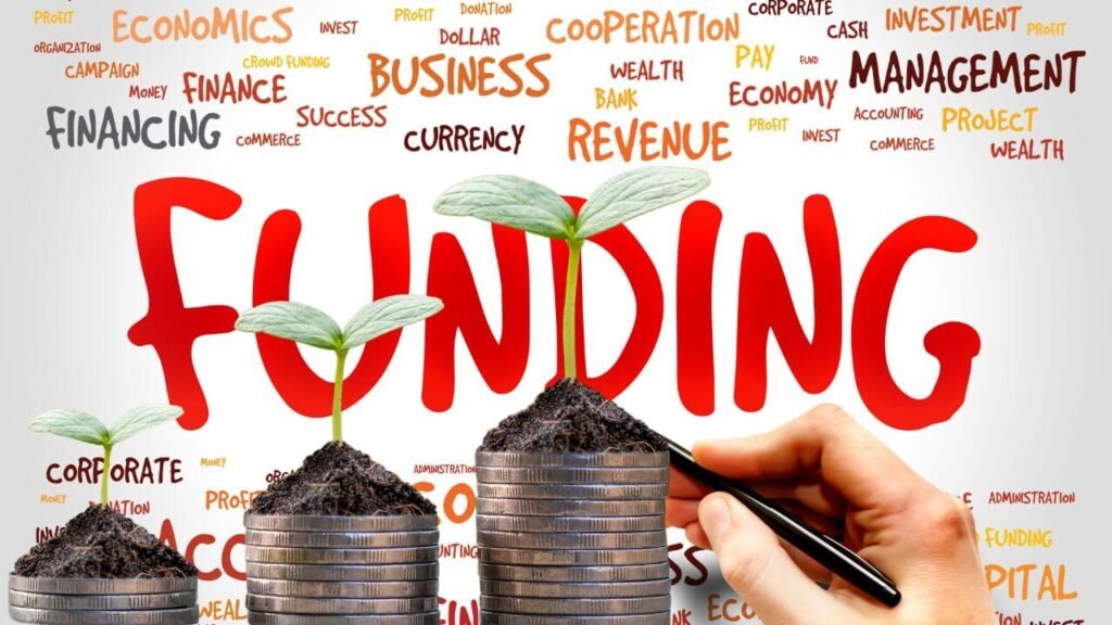 Funding theinvestment.socialwits.in